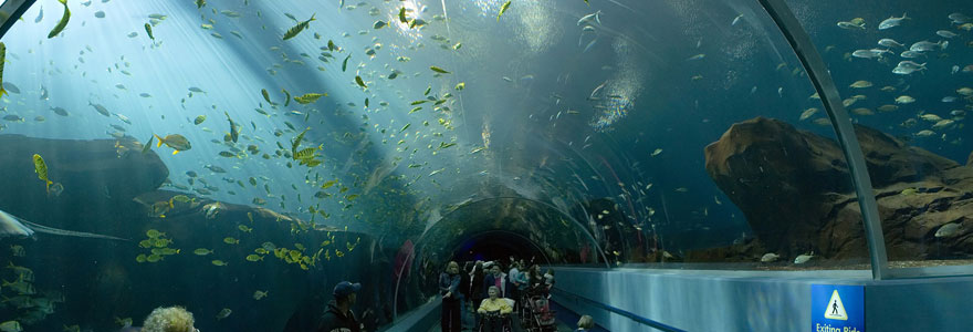 aquariums privés